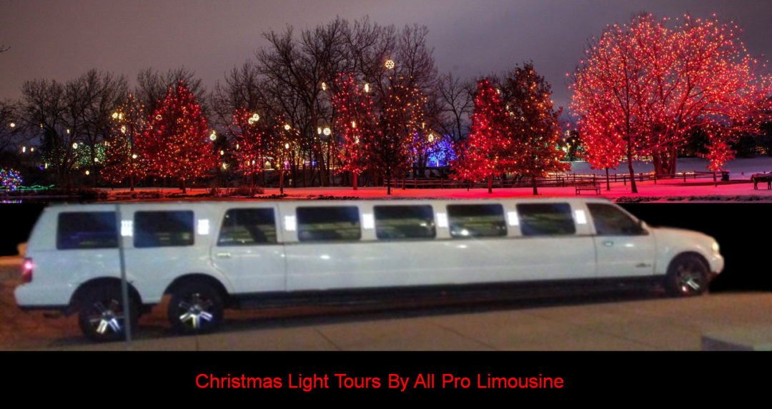 christmas lights tour limo
